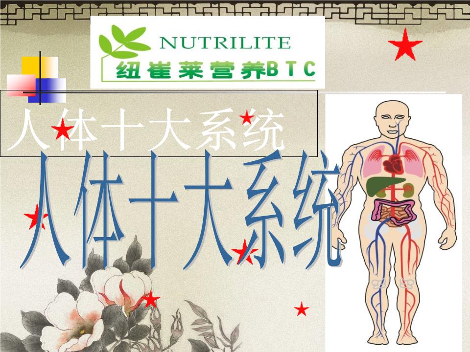 人体十大系统.ppt