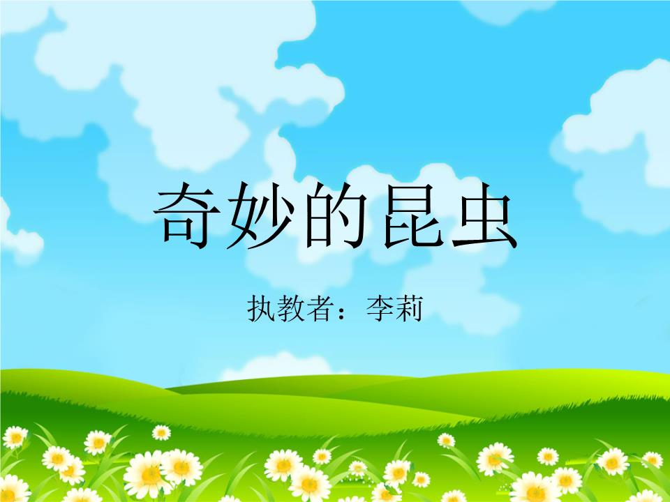 奇妙的昆虫课件.ppt