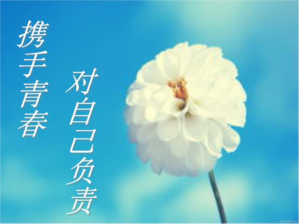 携手青春对自己负责(改)预案.ppt