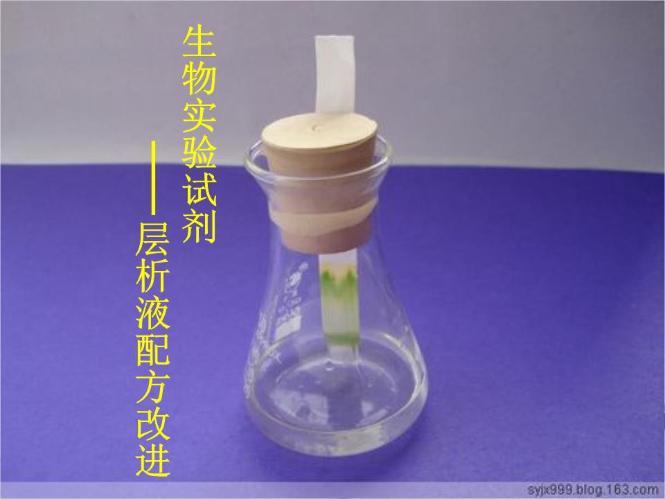 生物实验试剂—层析液配方改进 新人教版