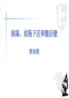 纵隔结肠下区腹后壁课件.ppt
