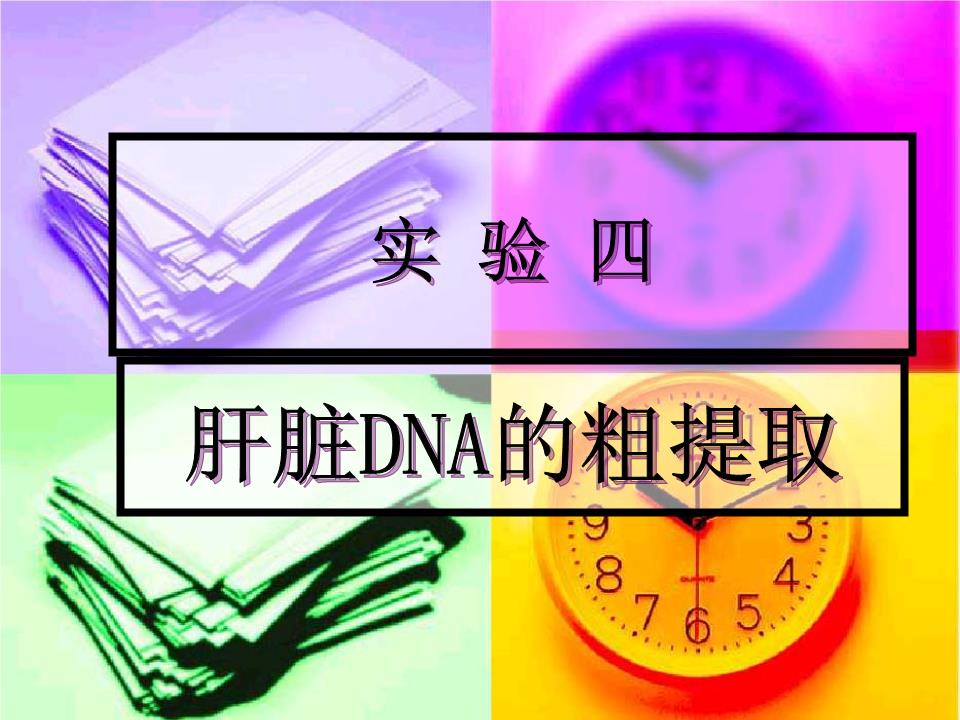 实验七 肝脏dna的粗提取.ppt