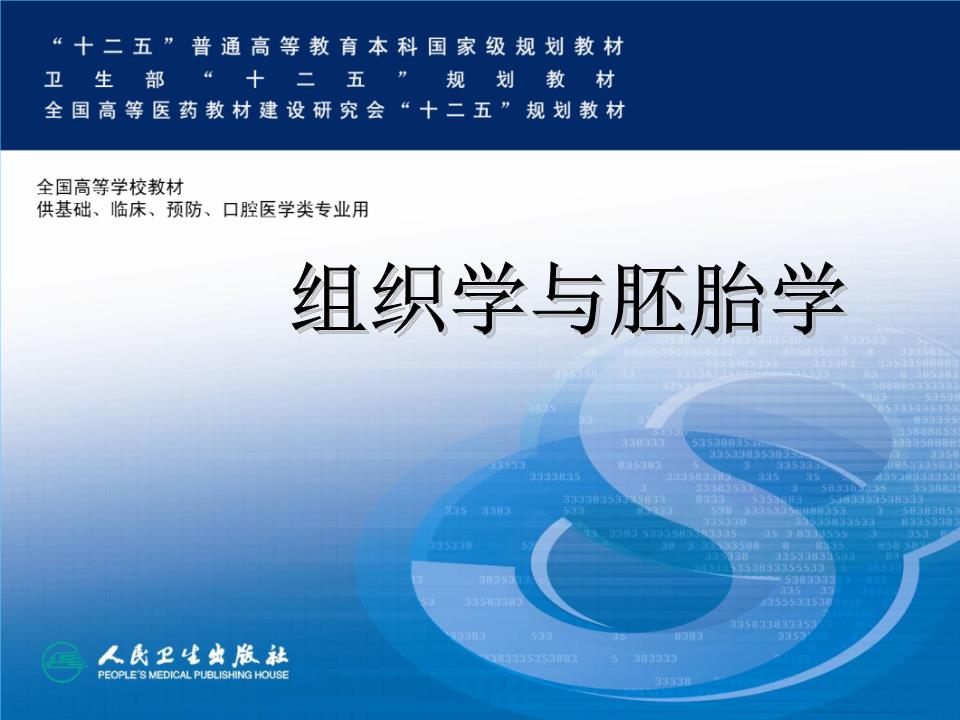 组织学与胚胎学第8版循环系统研讨.ppt