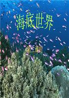 海底世界讲课.ppt