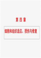 病理学细胞组织的适应和损伤浅析.ppt