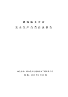 自查自改报告.doc