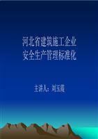 安全管理标准化.ppt