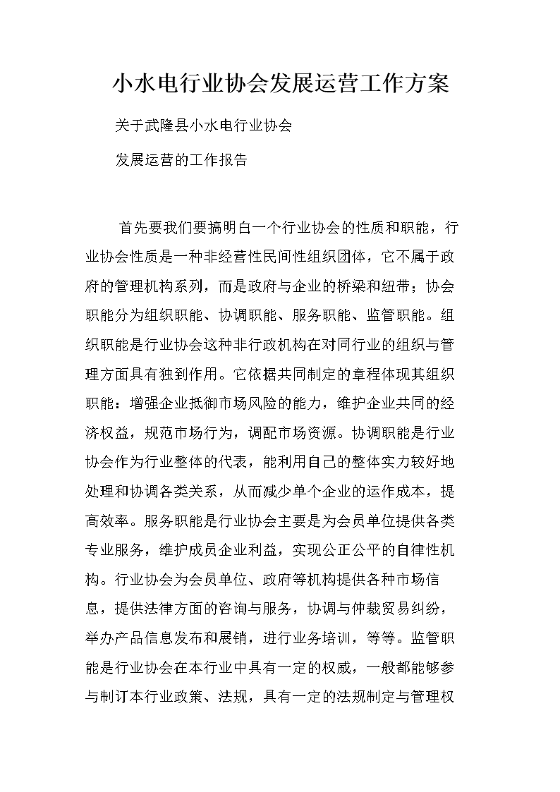 小水电行业协会发展运营工作方案.doc