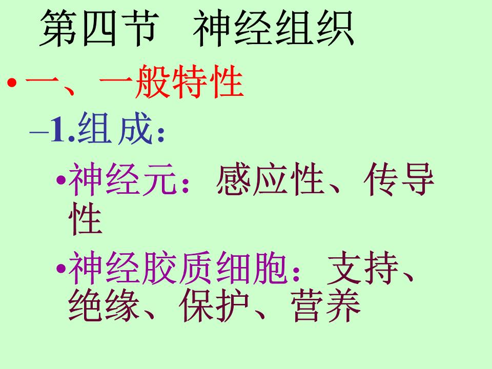 wz第四节 神经组织幻灯片.ppt