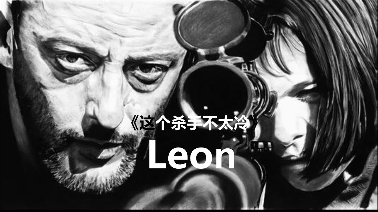 《这个杀手不太冷》学案.ppt