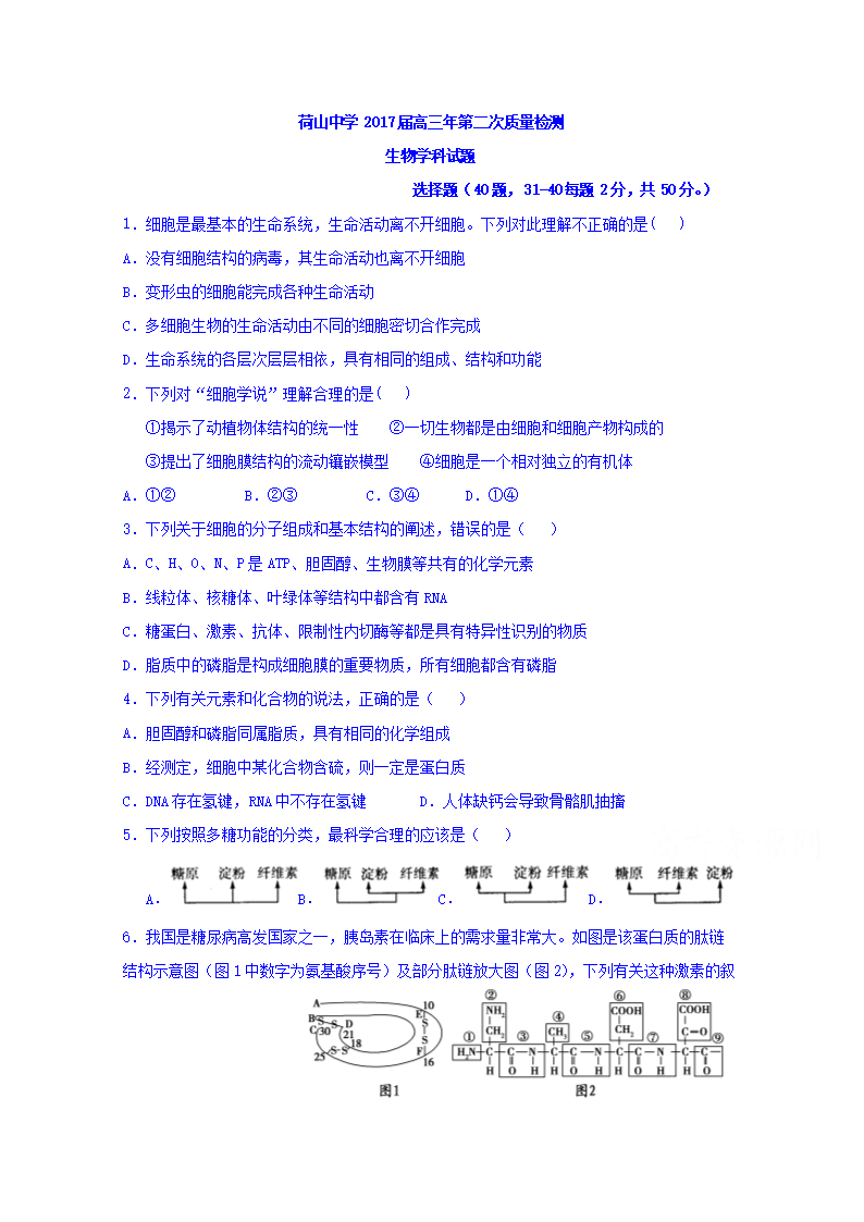 福建省泉州市惠安县荷山中学2017届高三第二