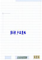 第六章产品策略讲解.ppt