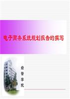 电子商务系统规划报告撰写全解.ppt