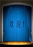 【2017年整理】郑州百文年度财务报告案例分