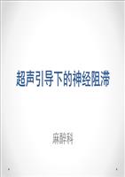 超声引导下的神经阻滞__培训课件.ppt