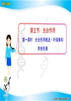 第五节第一课时光合作用概述叶绿素和其他色素