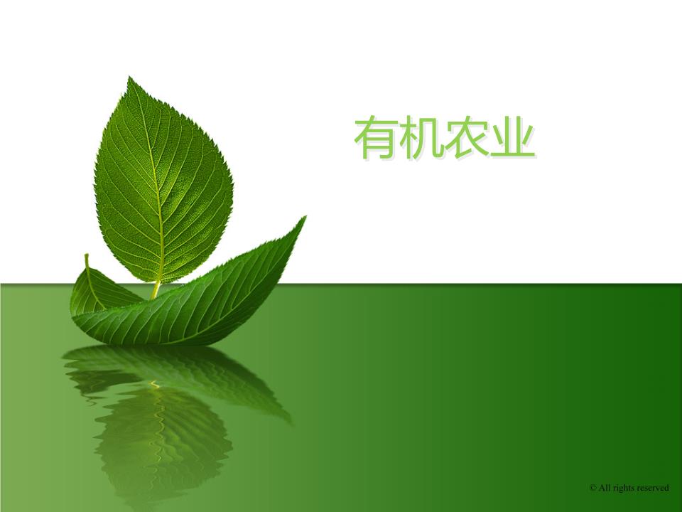 农业生态有机农业分解.ppt