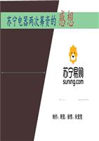 苏宁两次筹资的影响。重点.ppt