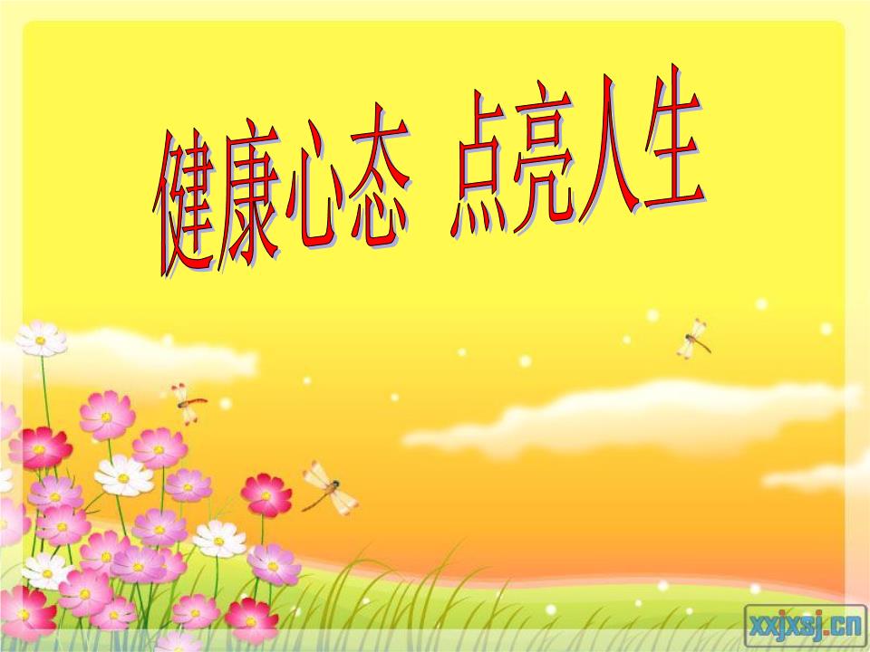 健康心态点亮人生研讨.ppt