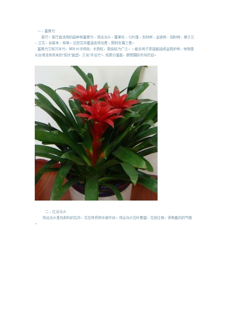 各花草的意义.doc