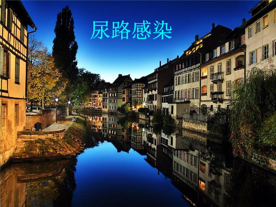 尿路感染简介幻灯片.ppt