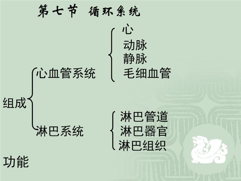 第七章循环系统第一节心概要ppt87页