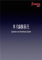 手麻系统.pptx