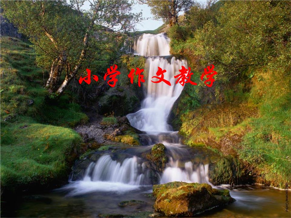 文章开头教学.ppt