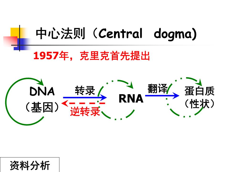 人教版教学课件42基因对性状的控制ok.ppt