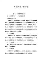 专项督查工作方案.doc