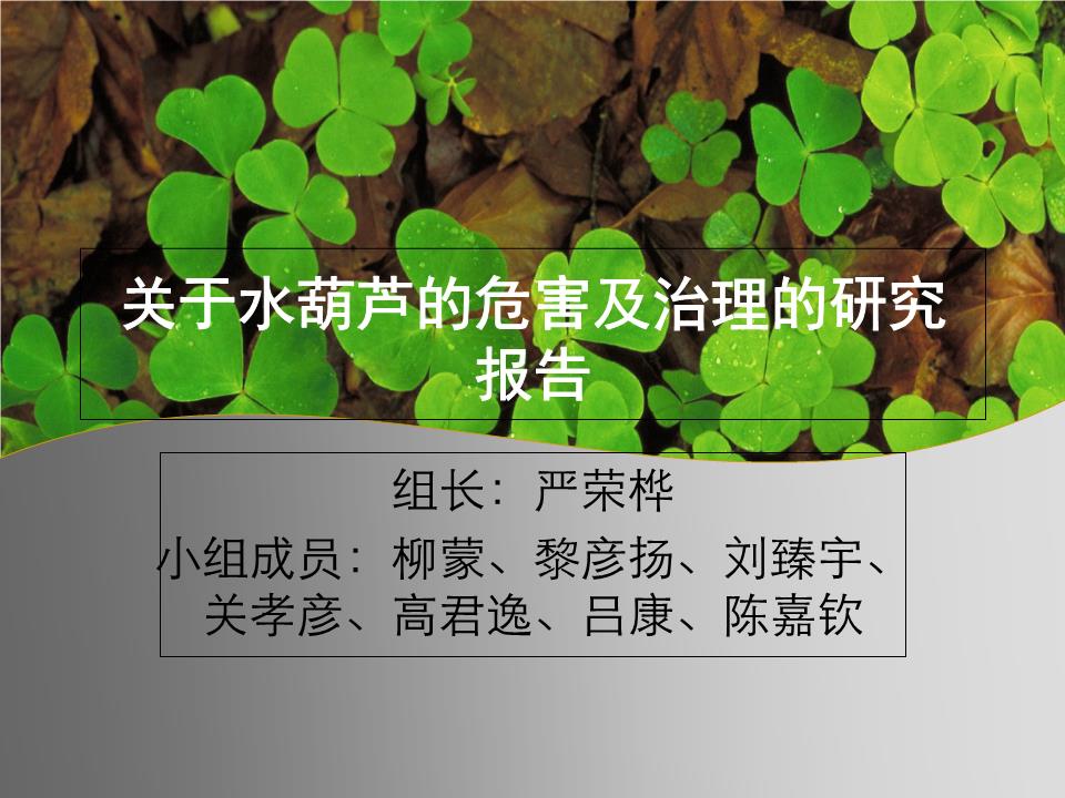 关于水葫芦的危害及治理的研究报告课件.ppt