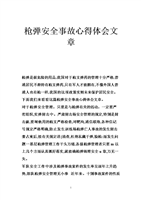 枪弹安全事故心得体会文章.doc