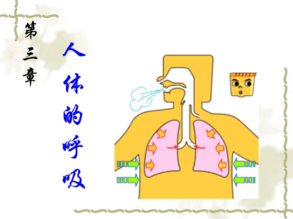 呼吸道对空气的处理_372876.ppt
