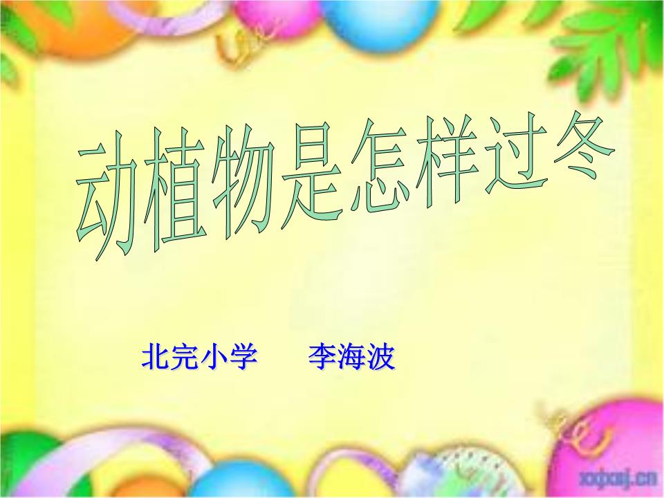 动植物怎样过冬(修改)概念.ppt