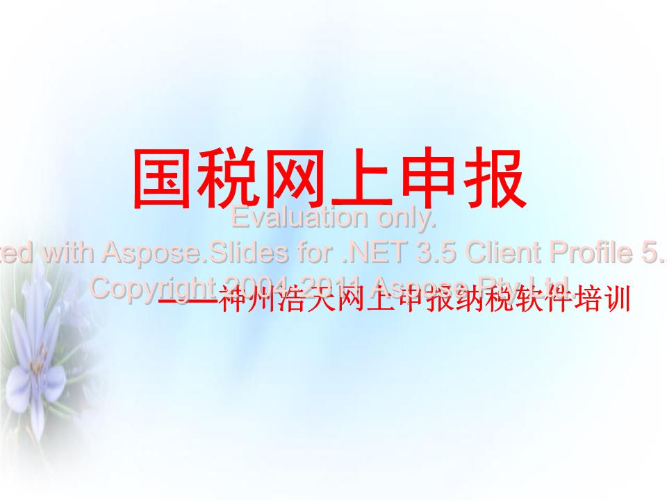天津国税神州浩天申报系统培训.ppt