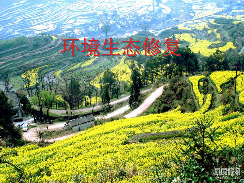 环境生态修复第2章选编.ppt