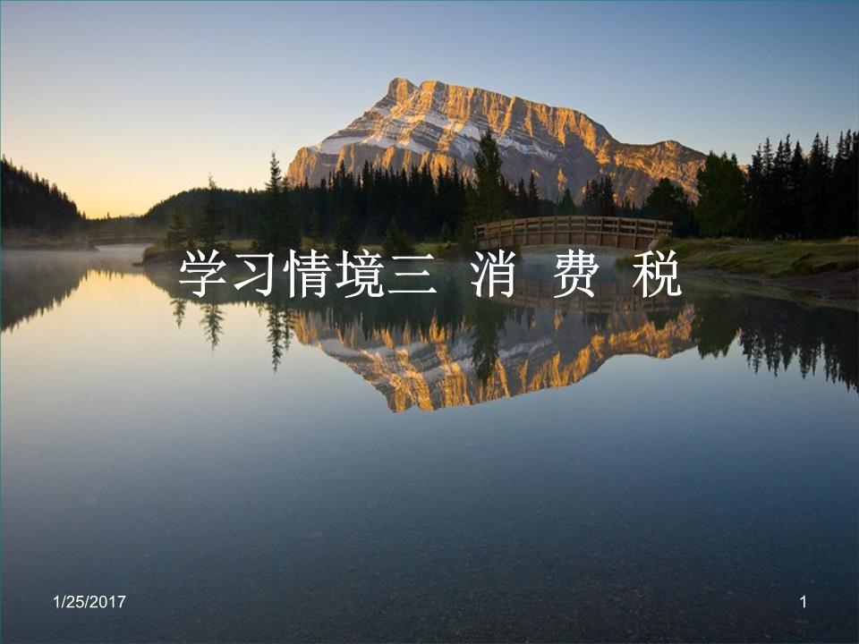ppt课件-学习情境三消费税.ppt