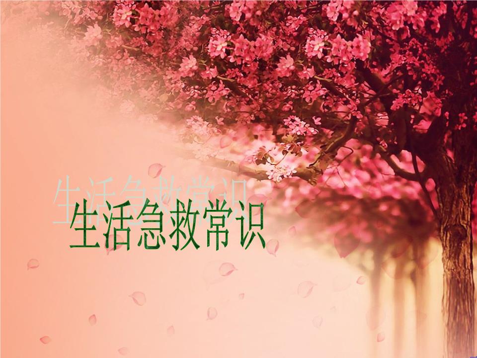 生活急救常识概念.ppt