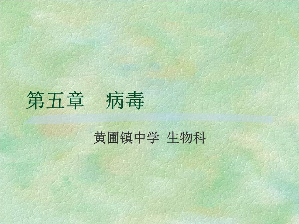 【科组备课】人教版八年级生物上册第五单元第5章病毒(15张(共15张)